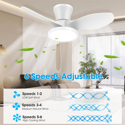 ocioc timer options 1h 2h 4h for customized cooling periods