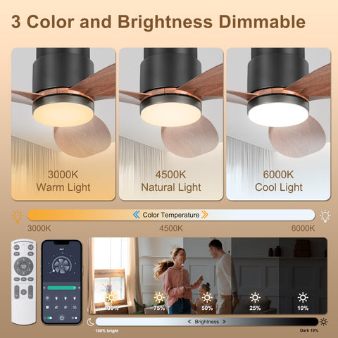 Ohniyou 42-inch ceiling fan with remote and app control for easy adjustments.