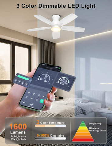 Ohniyou dimmable LED lighting on ceiling fan for mood lighting.