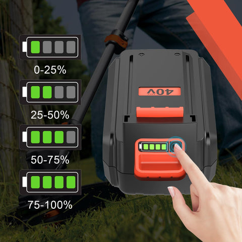 OHYES BAT charger included LCS36 Type2 for versatile charging