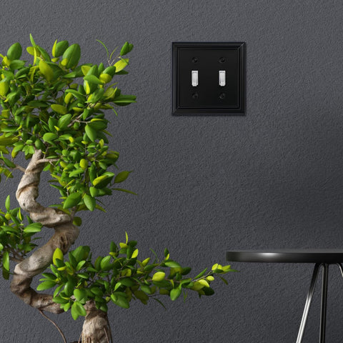 OKAWYC Adler black wall plate complements kitchen styling with modern touch.