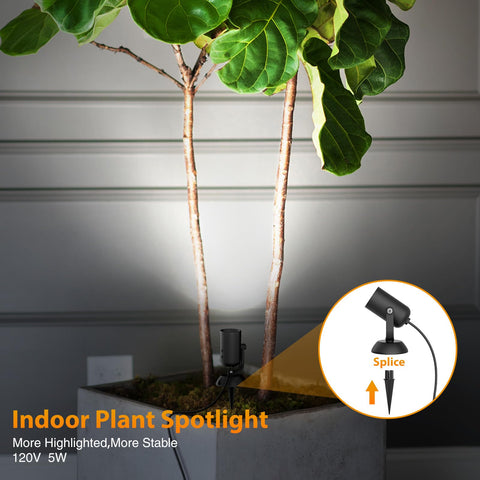Olafus dimmable spotlight with timer function for easy daily use.