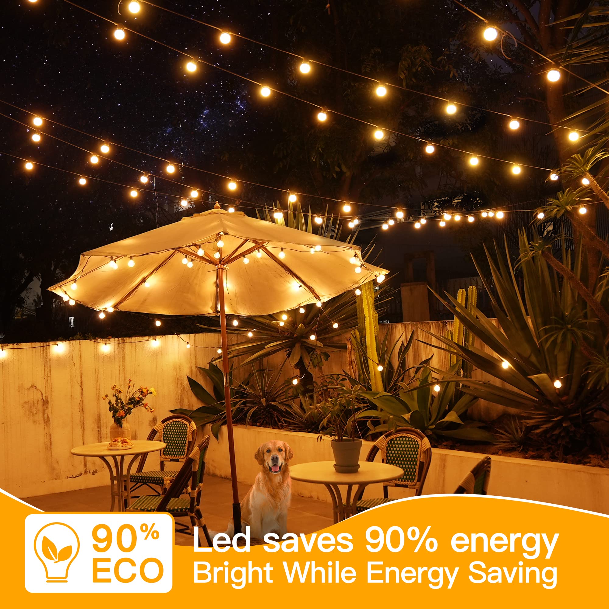 Ollny plug-in design enables quick setup on balconies or camping trips.
