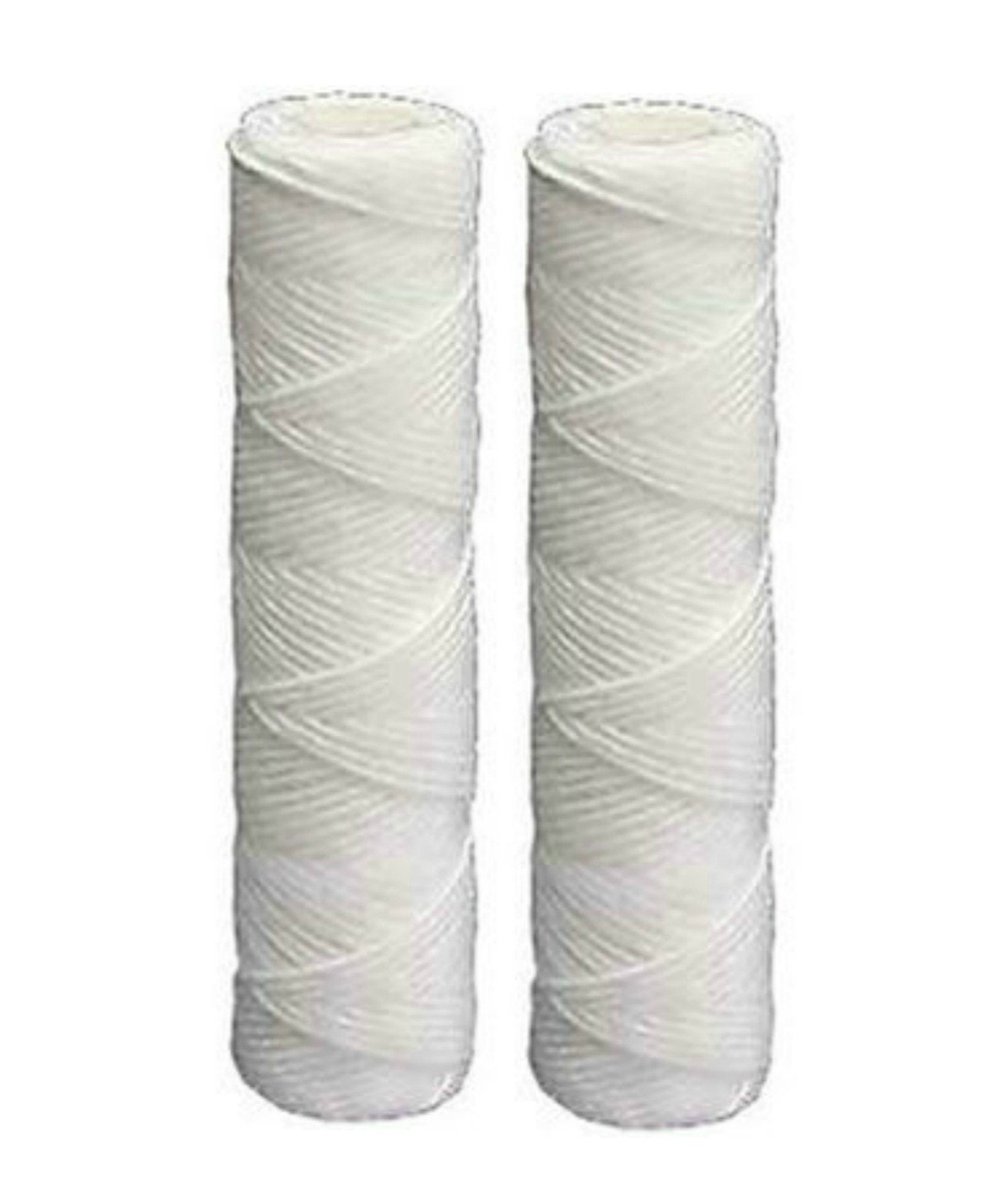 OMNIFilter RS5-DS two-pack cartridge for whole-house filtration with high dirt-loading capacity