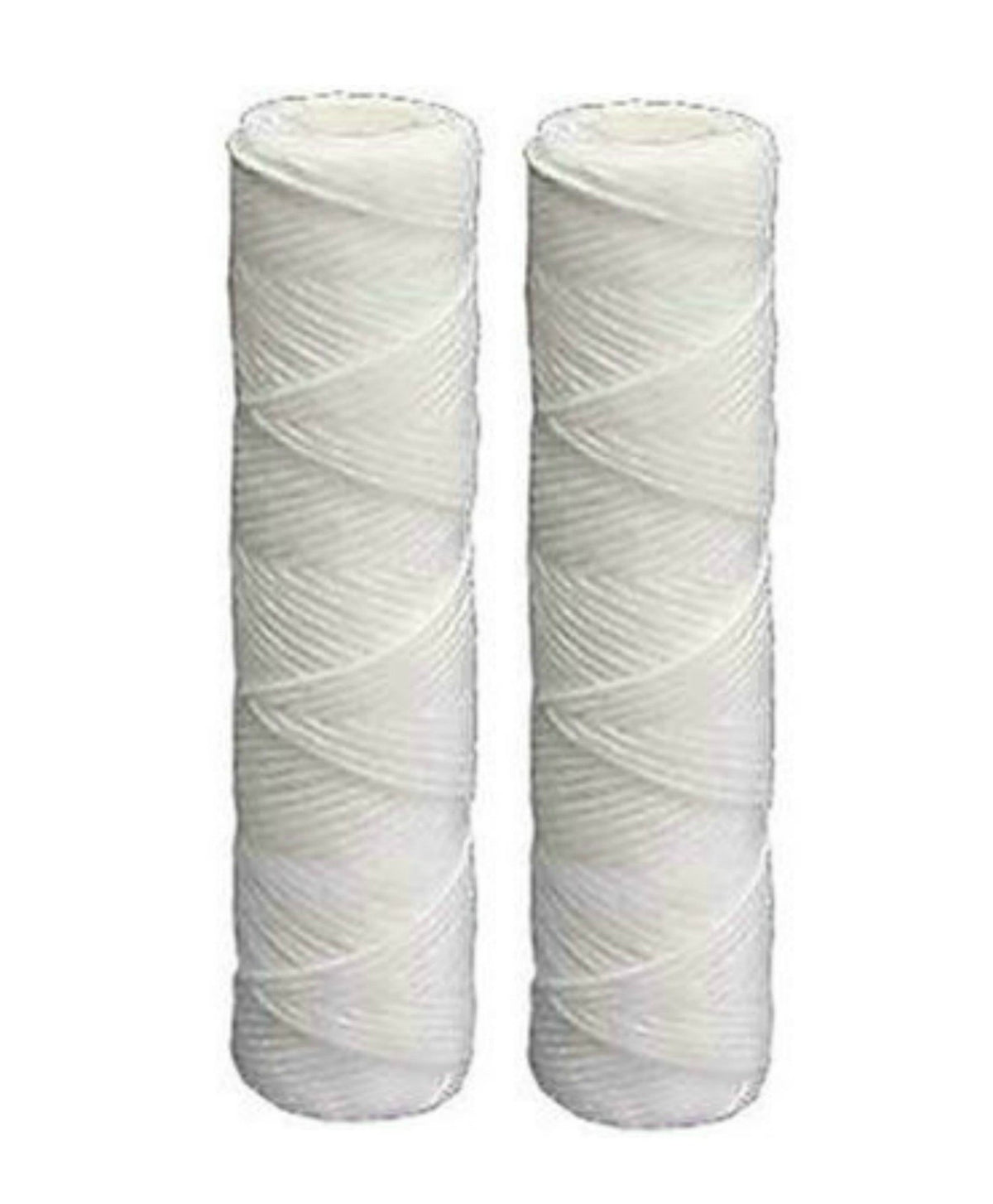 OMNIFilter RS5-DS two-pack cartridge for whole-house filtration with high dirt-loading capacity