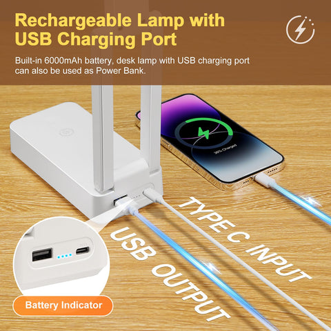 One Fire cordless desk lamp designed for easy transport and placement