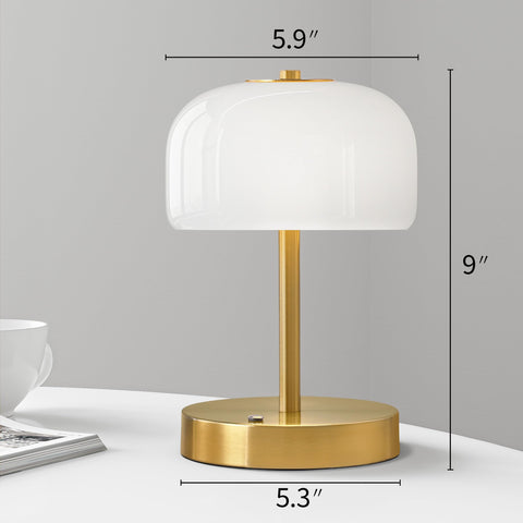 Oneach lamp with glass shade close-up showing soft diffuse glow