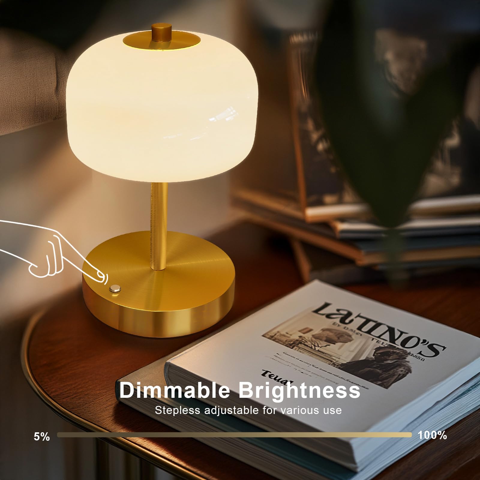 Oneach cordless lamp USB-C recharge port and sleek design