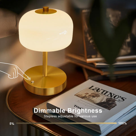 Oneach cordless lamp USB-C recharge port and sleek design
