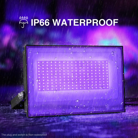 Onforu plug-in 110V black light for easy setup anywhere.