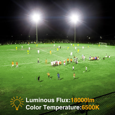 IP66 waterproof die-cast aluminum housing protects against rain and snow