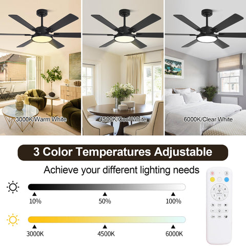 oooYYDSxxx tri-color dimmable LED light offers warm to cool ambiance