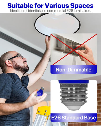Oraluce energy-saving LED bulb reduces power use with bright output.