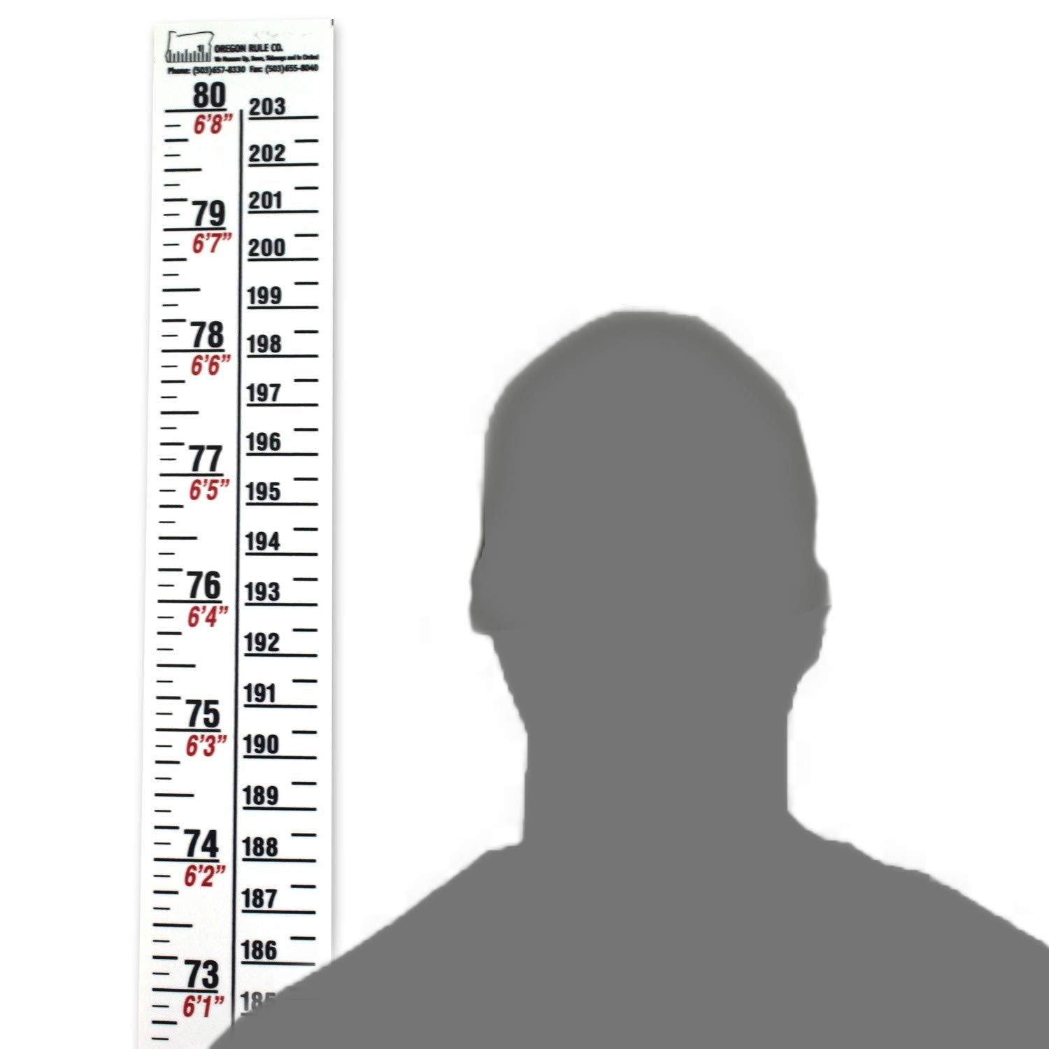 Oregon Rule Co. height rule left scale 0-80 inches for instant height reference