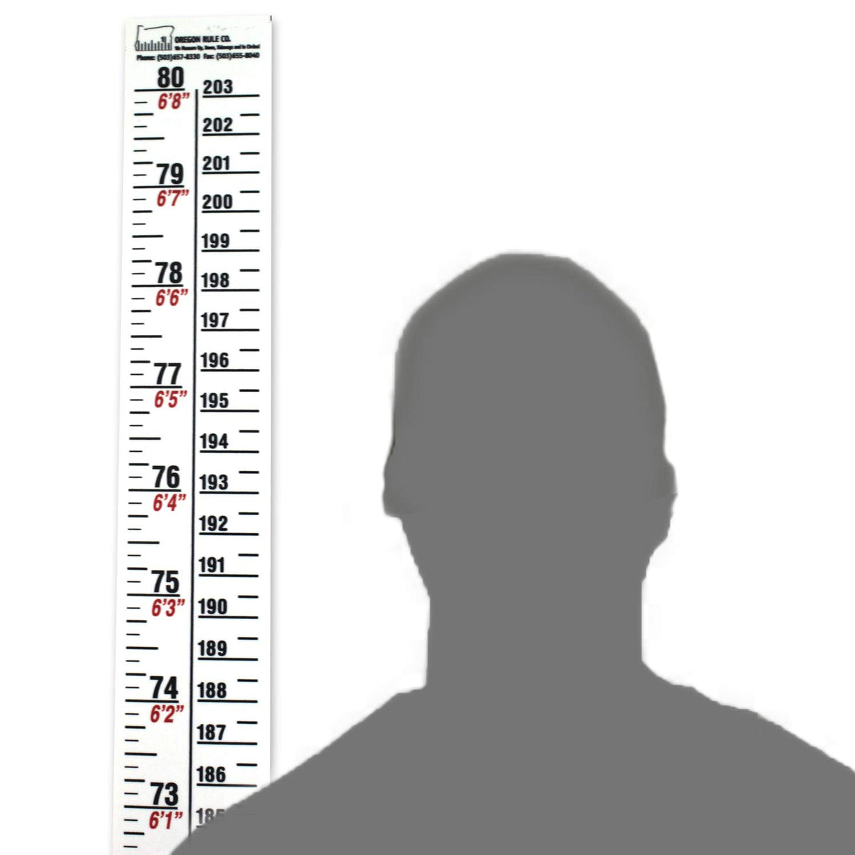 Oregon Rule Co. height rule left scale 0-80 inches for instant height reference