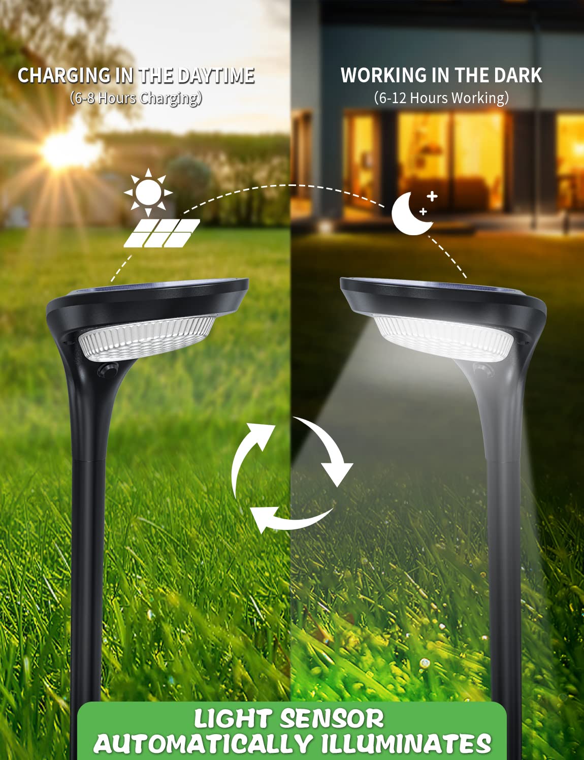 OSORD IP65 waterproof pathway light withstands rain for year-round lighting