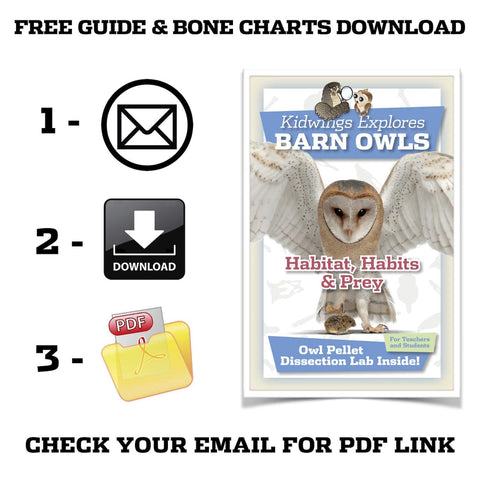 Owl Brand Discovery Kits comprehensive guide supports step-by-step exploration