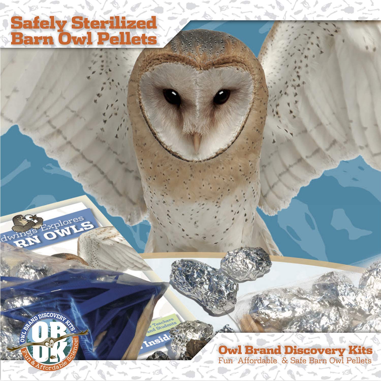 Owl Brand Discovery Kits labeled pellet parts aid quick identification