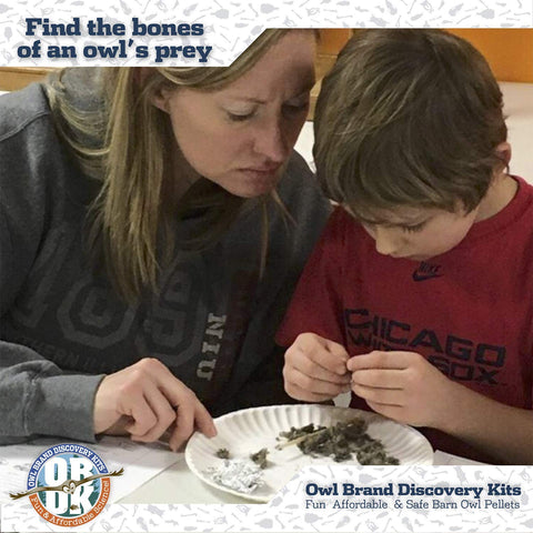Owl Brand Discovery Kits magnifying glass enhances close inspection