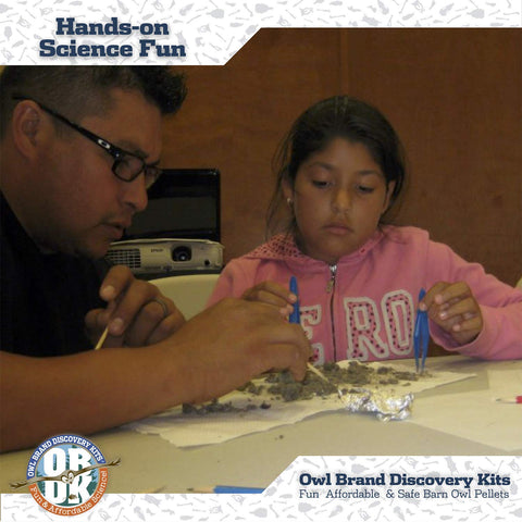 Owl Brand Discovery Kits ruler included for accurate measurements