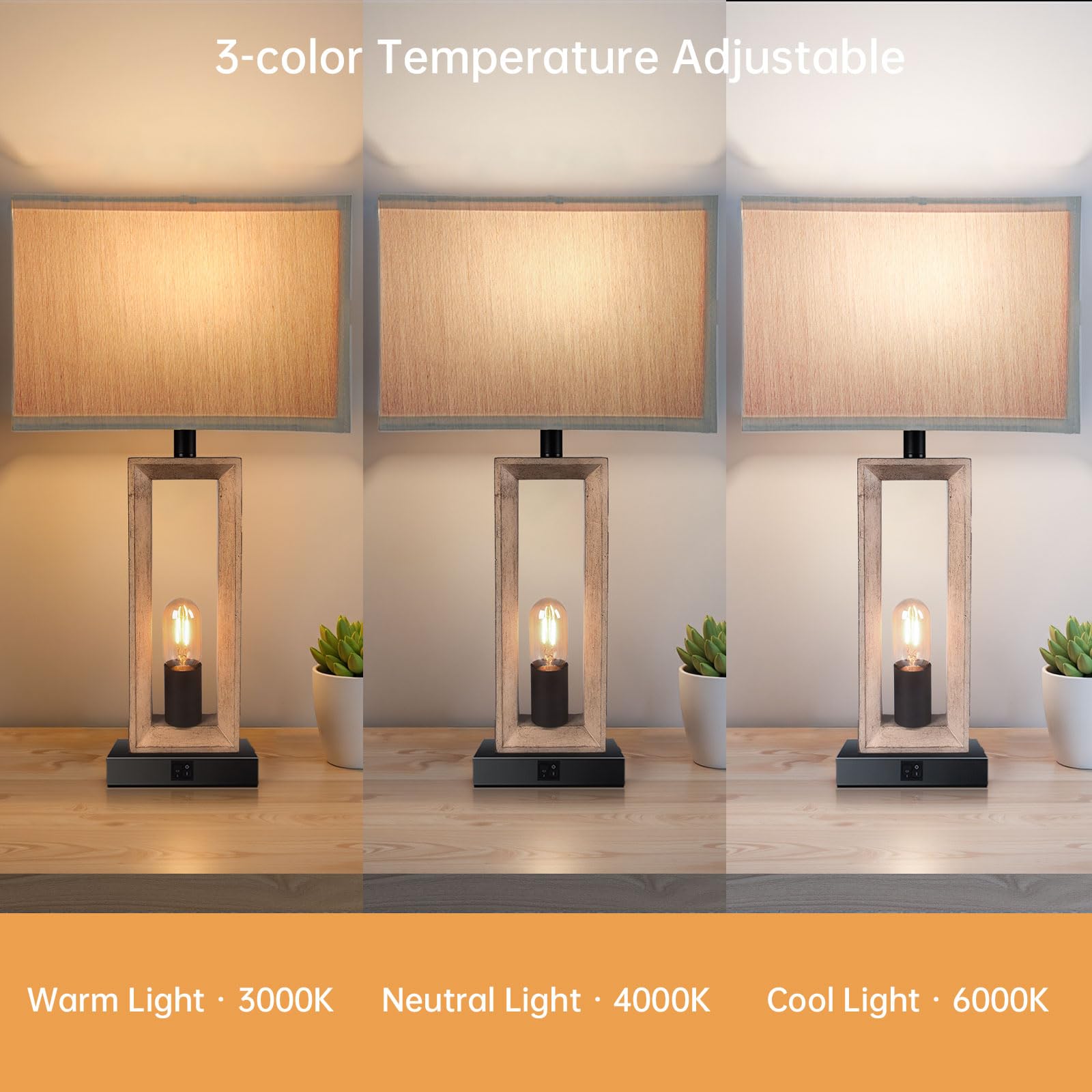 PACOLIT P energy-efficient bulbs reduce electricity costs