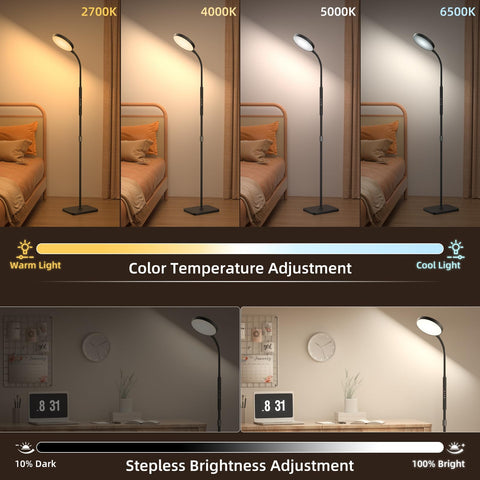 RGB and brightness options on a PACOVY lamp for customized ambiance.