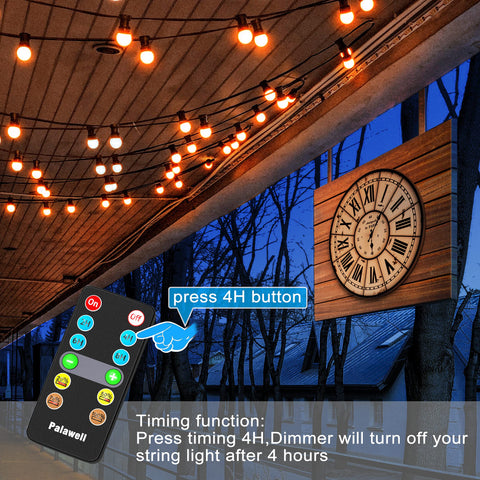 Palawell 350W dimmer controls multiple bulbs for larger outdoor setups