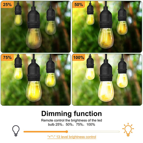 Palawell dimmer brightness levels adjust from 25% to 100% for ambiance