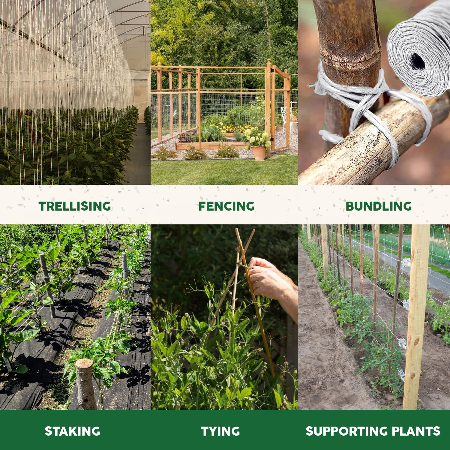 Parkway Distributors tomato-twine-6300ft-vertical-gardening enables climbing plants.