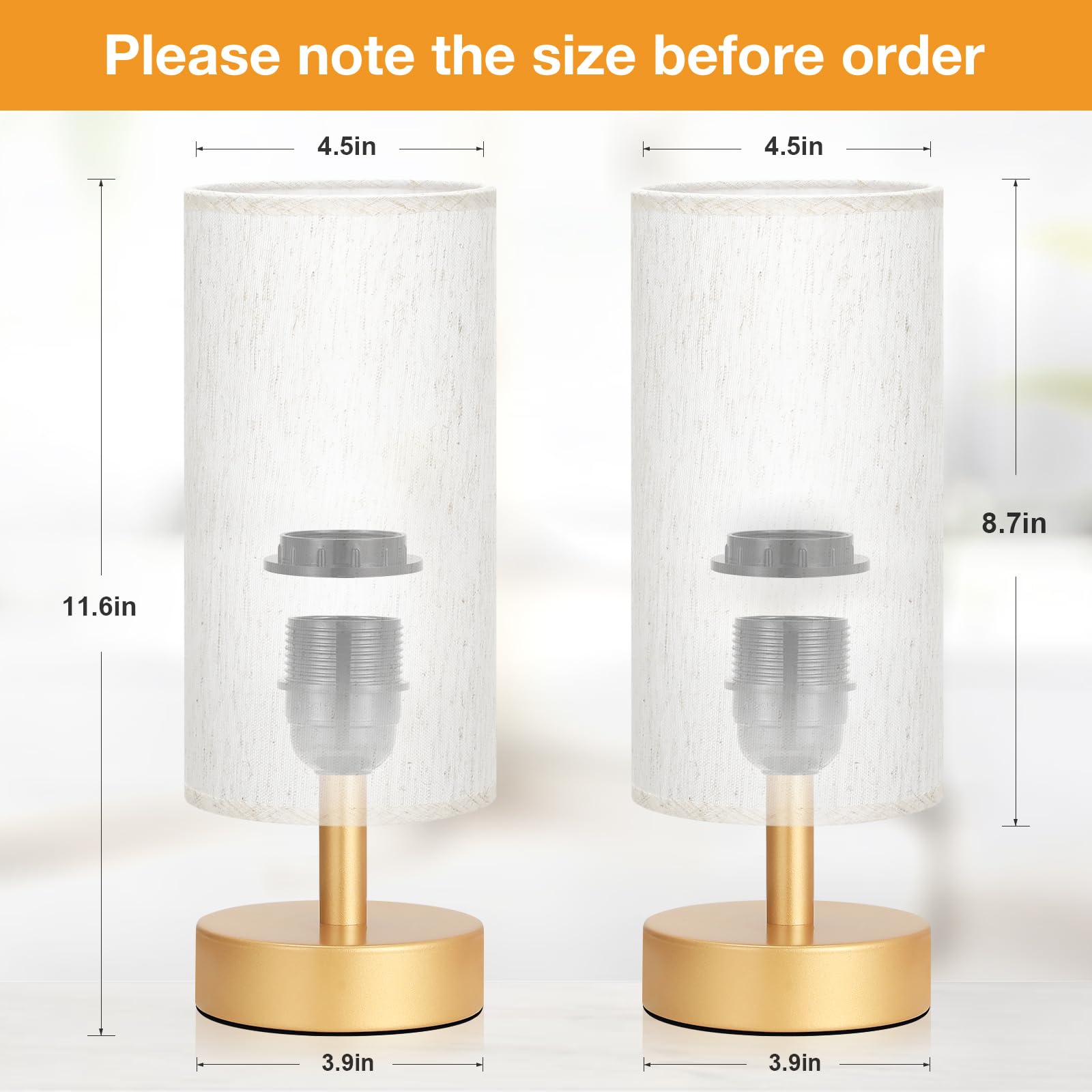 Two-pack PartageiZ lamps providing balanced room illumination