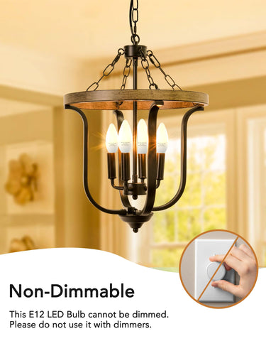 PARTPHONER 6W bulb saves energy while delivering a 60W-equivalent glow.