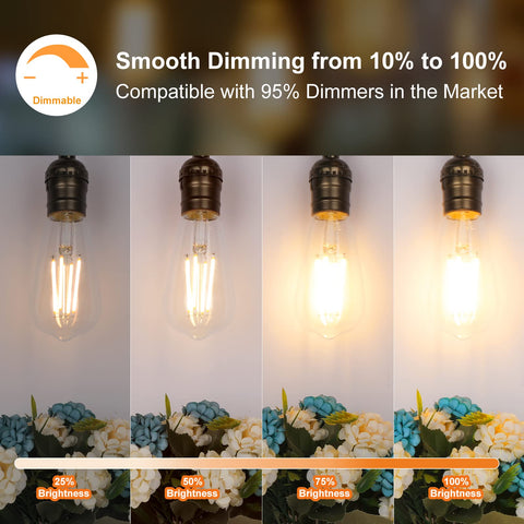 PARTPHONER dimmable Edison bulb in E26 base for smooth brightness control
