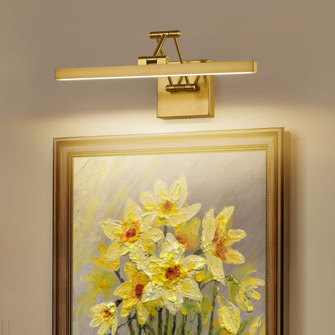 Pasoar dimmable LED picture light provides adjustable brightness for artwork display.