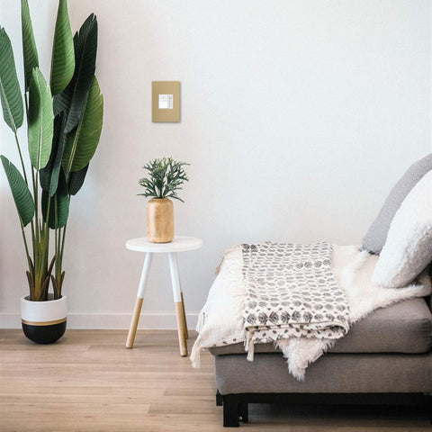 White finish Adorne dimmer switch by Pass & Seymour for modern décor.