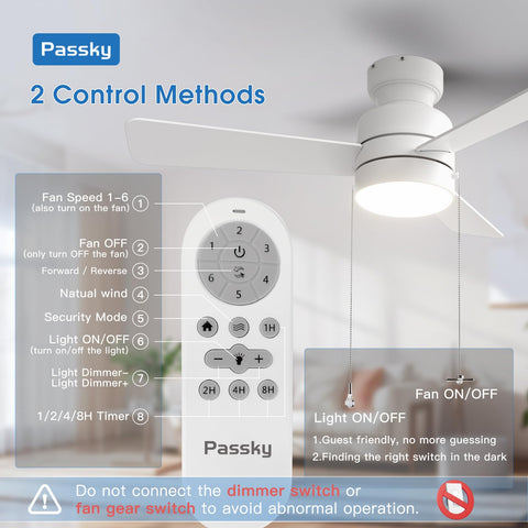 Passky dimmable light with 3000–6000K options for mood and clarity.