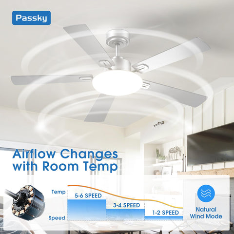 Passky renter-friendly installation with standard box requires no extra drilling.