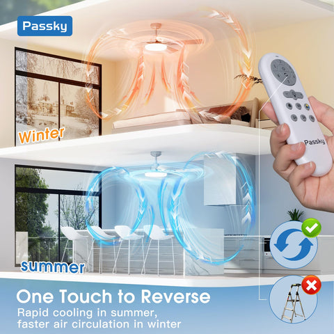 Passky reversible DC motor supports seasonal air circulation and comfort.