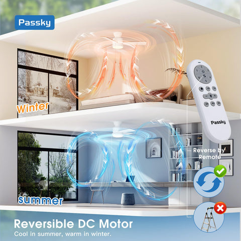 Passky reversible DC motor maintains air circulation across seasons.