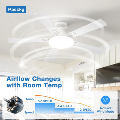 Passky quiet ceiling fan operates around 35dB, ideal for a peaceful bedroom.