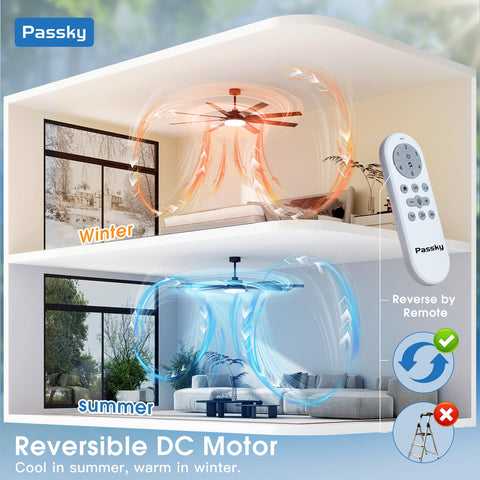 Passky quiet DC motor with six speeds for customizable airflow