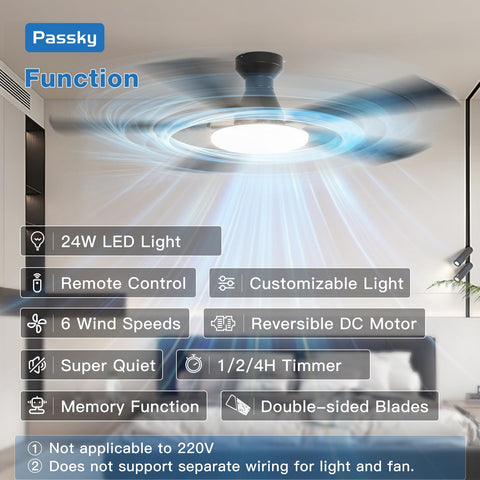 Passky remote control enabling easy speed and light adjustments