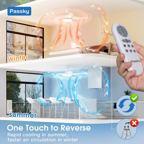 Passky remote control enables six speeds and light dimming.