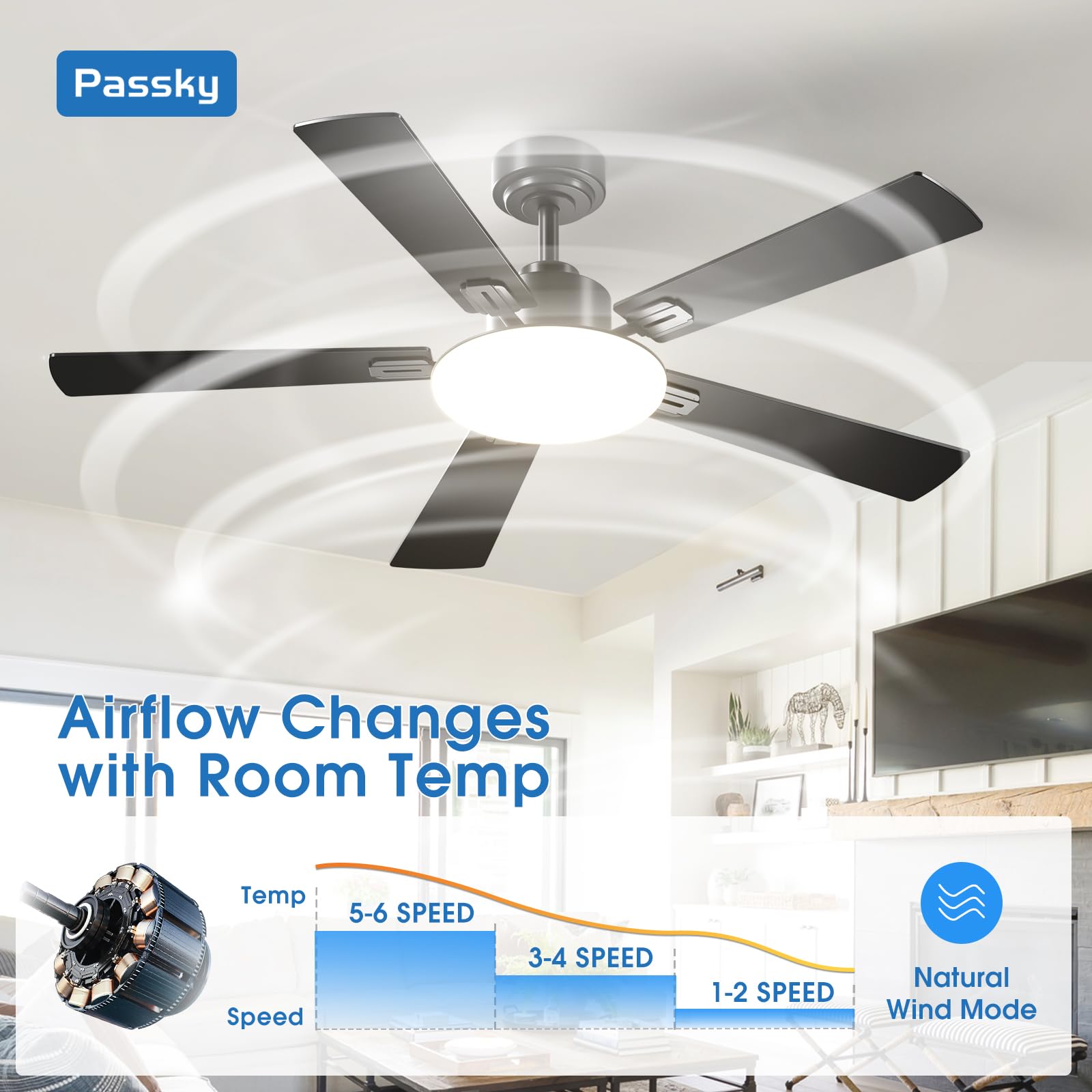 Passky reversible DC motor with dual-color blades for year-round comfort.