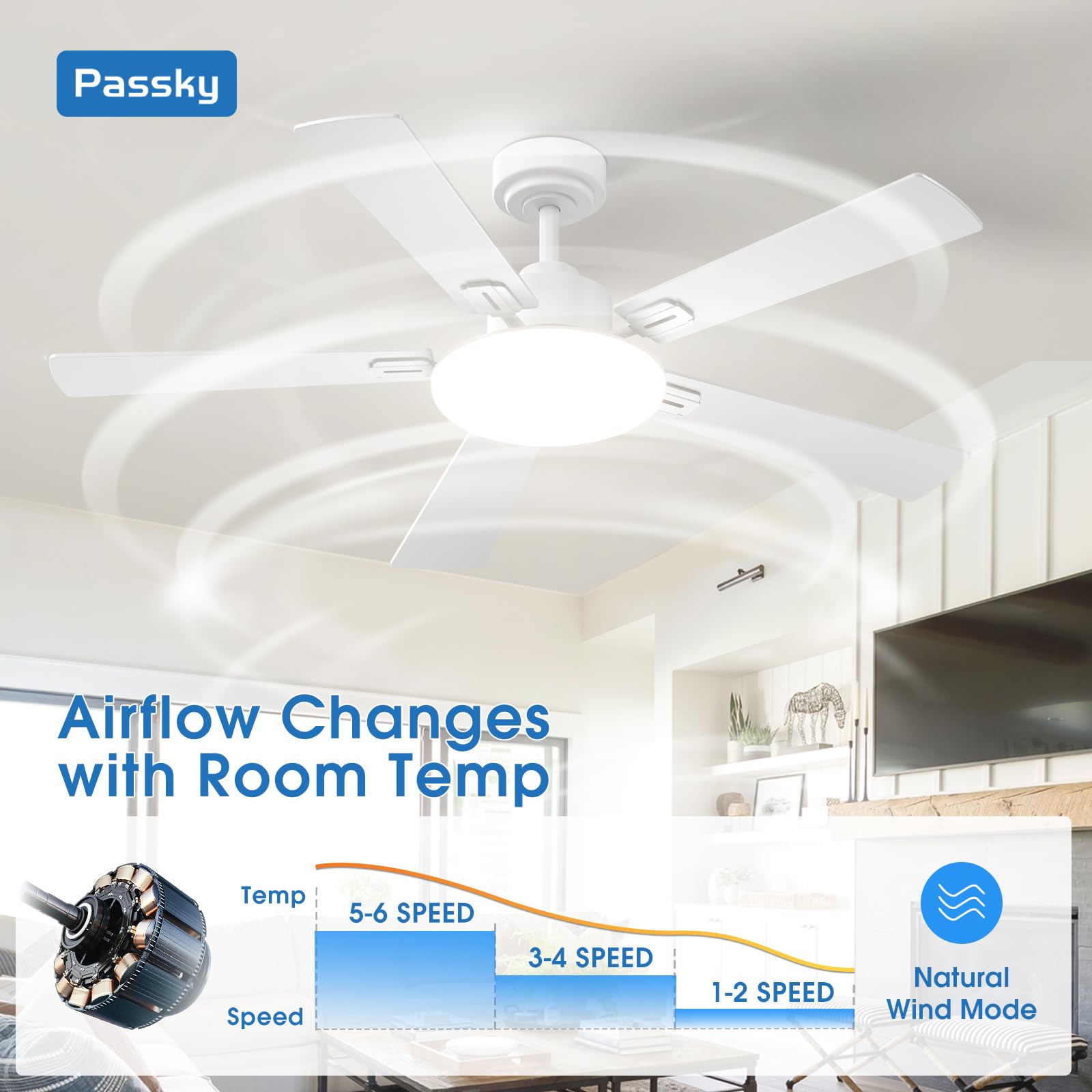 Passky reversible DC motor improves year-round comfort and air movement.