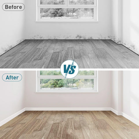 PATTENGO 20 ft roll provides long-lasting room edge protection