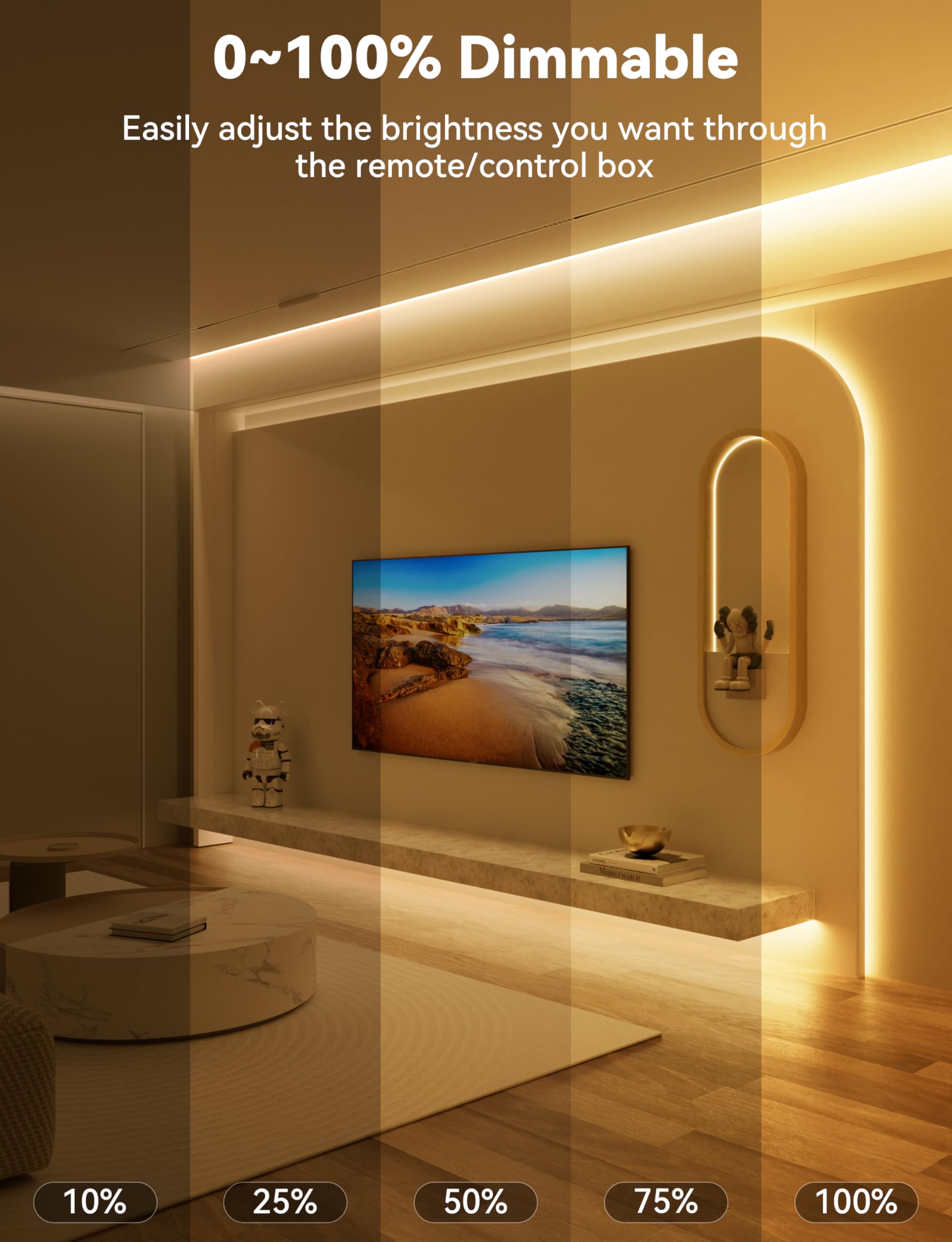 PAUTIX COB LED strip light with RF remote enables easy brightness management.