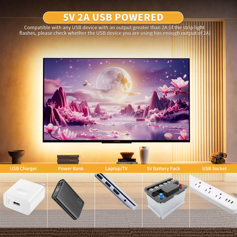 PAUTIX shelf lighting highlights displays with accurate color.