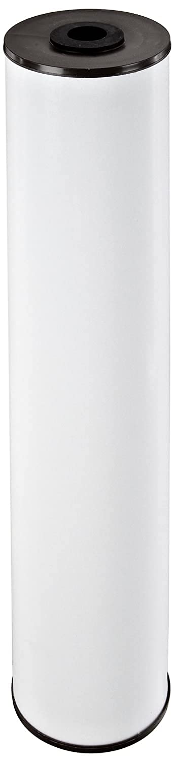 Pentek RFFE20-BB Big Blue filter in 20-inch housing for better taste and iron reduction.