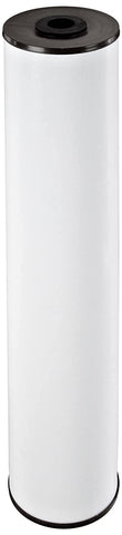 Pentek RFFE20-BB Big Blue filter in 20-inch housing for better taste and iron reduction.