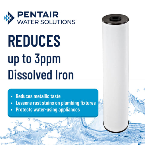 Pentek Big Blue whole-house filter installed on main water line for cleaner taps.